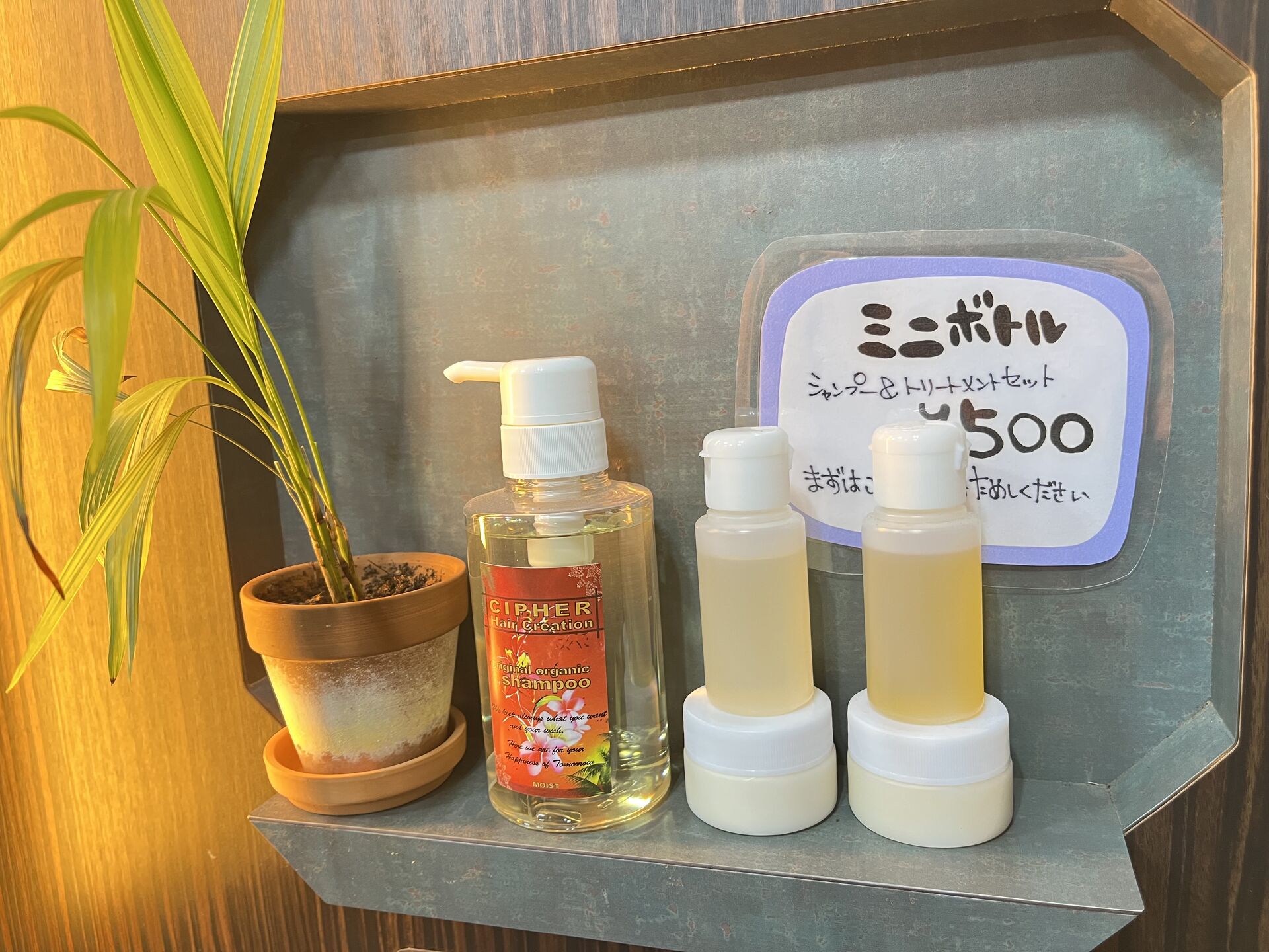 🌺 いつもありがとうございます！ 🌺