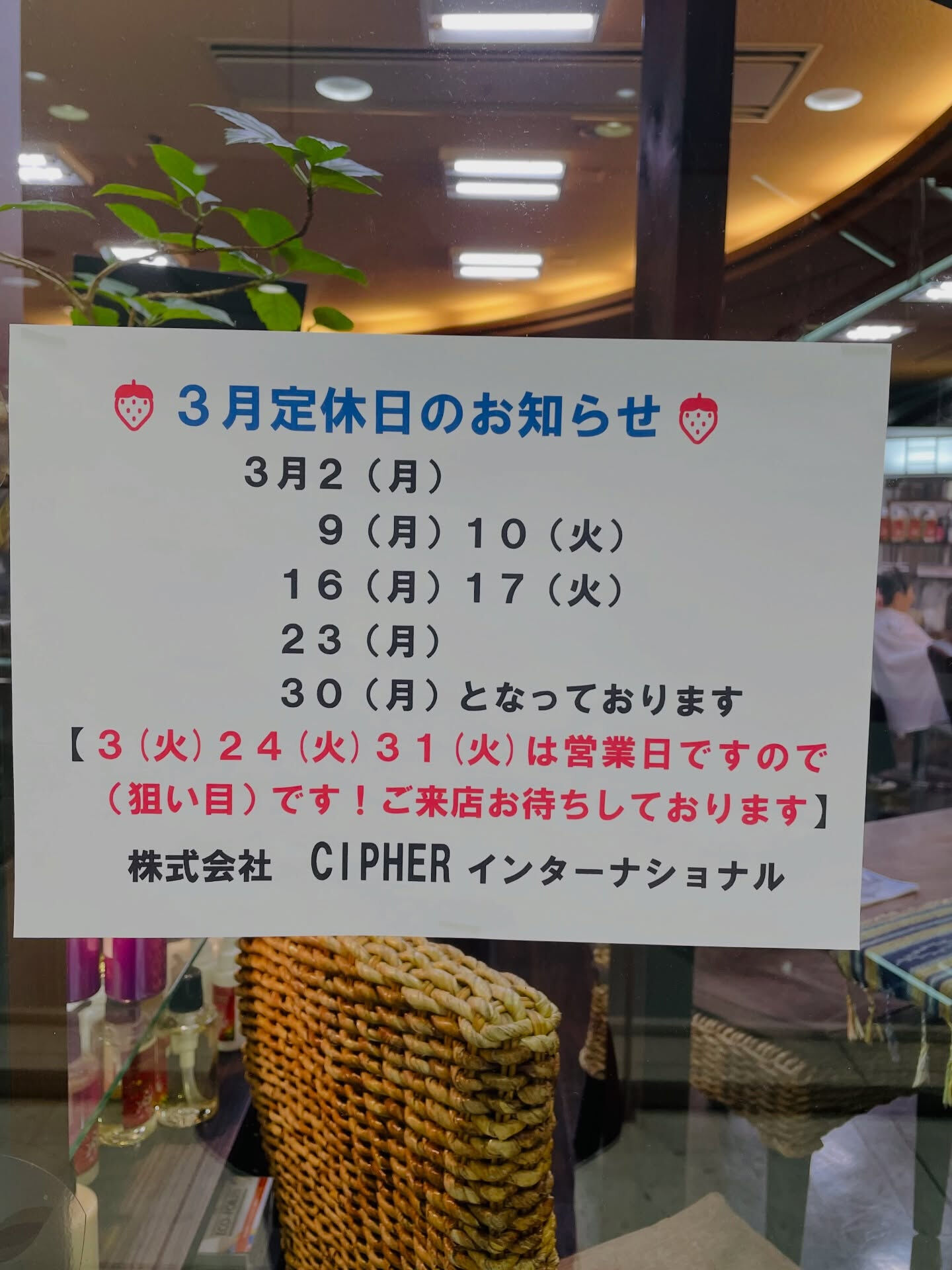 🌺 いつもありがとうございます！ 🌺
